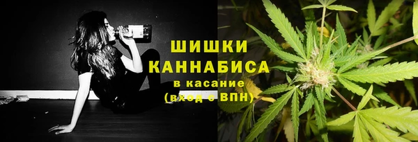 ECSTASY Ладушкин