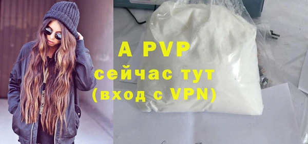 ECSTASY Ладушкин