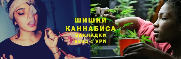 ECSTASY Ладушкин