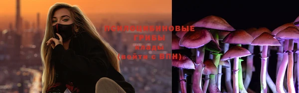 ECSTASY Ладушкин