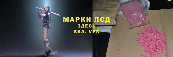 ПСИЛОЦИБИНОВЫЕ ГРИБЫ Лабытнанги