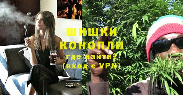 ECSTASY Ладушкин