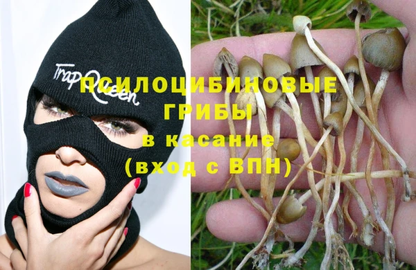 ПСИЛОЦИБИНОВЫЕ ГРИБЫ Лабытнанги