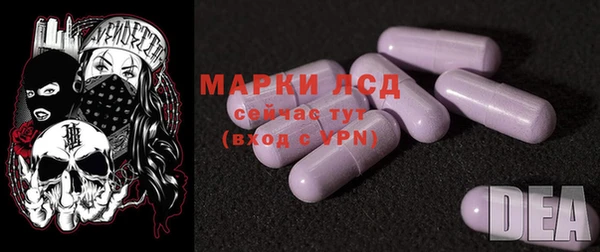 ПСИЛОЦИБИНОВЫЕ ГРИБЫ Лабытнанги