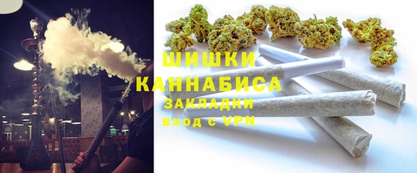 ECSTASY Ладушкин